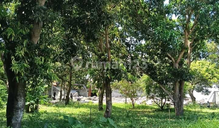Tanah Cantik Berlokasi Di Batur Sari Sanur Kauh