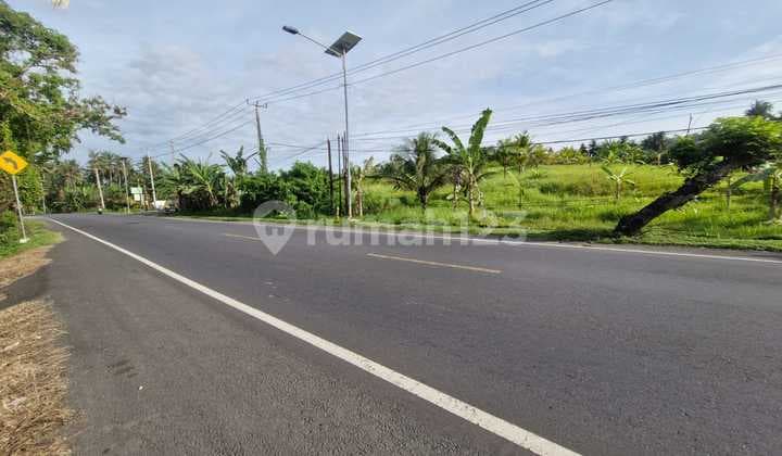 Dijual Tanah Cantik dengan Full View di Jembrana