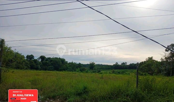 For Rent: 5 Hectares of Land by Main Road