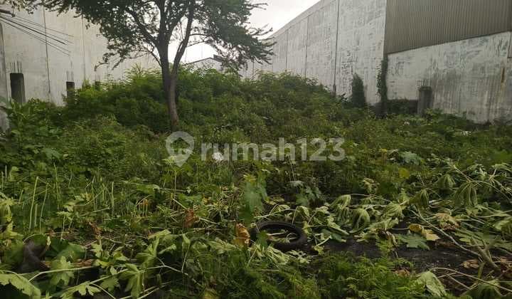 Tanah di Nol jalan Raya Margomulyo Sederetan dengan Pergudangan antropolis
