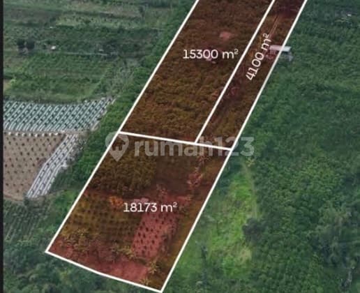Kavling Luas 37.573 Meter Di Dekat Kebun Raya Gianyar Bali Lokasi Strategis View Bagus SHM di Gianyar m² 37573.0 Tanah