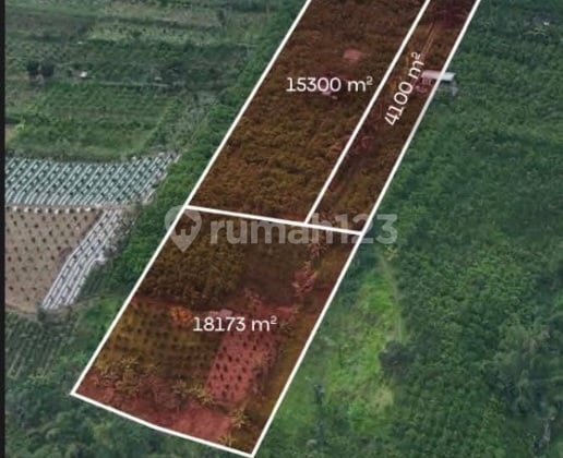 Kavling Luas 37.573 Meter Di Dekat Kebun Raya Gianyar Bali Lokasi Strategis View Bagus SHM di Gianyar m² 37573.0 Tanah