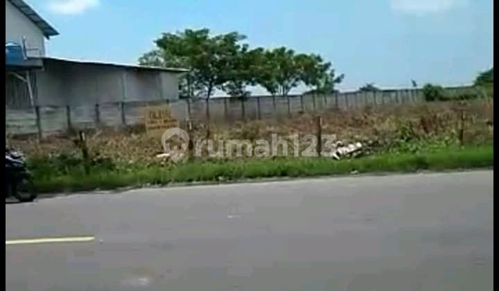 Tanah 4 Ha Strategis di Jalan Raya Tuban-Babat