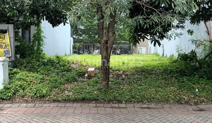 Kavling Premium Citraland Grandia Palma Surabaya