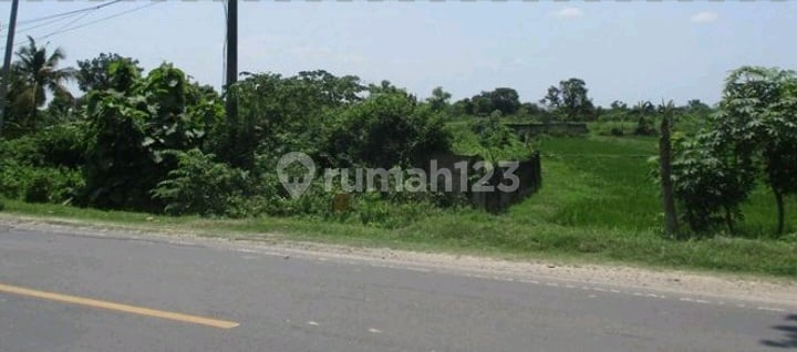 For Sale, Panceng Raya Land, Prime Location For Sale, Panceng Raya Land, Prime Location