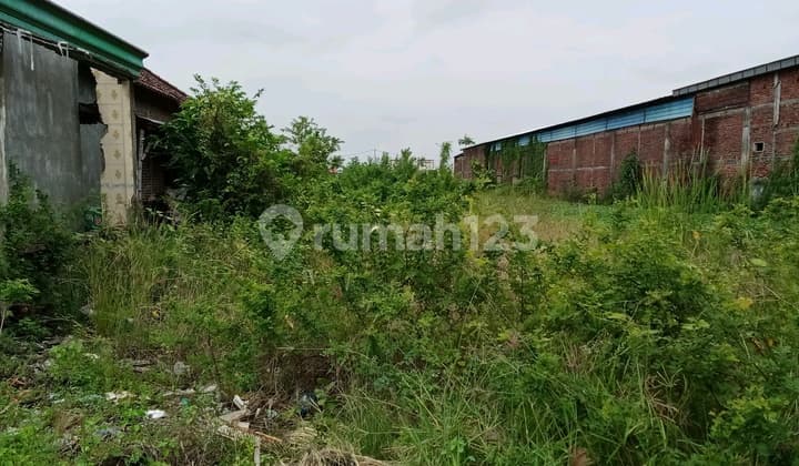 Tanah Jl Bibis Menganti Gresik