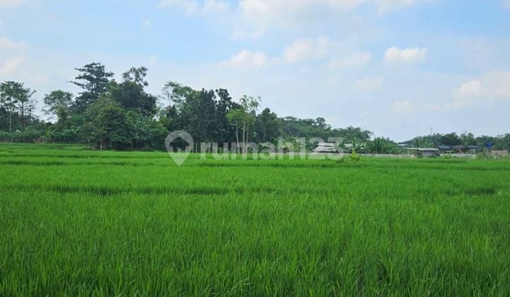 Dijual Tanah Komersial di Pinggir Jalan Raya Besar Sumber, Cirebon