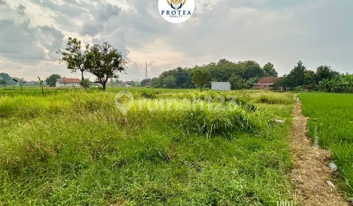 Dijual Tanah Bekas Sawah di Kedawung Cirebon