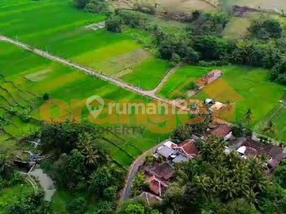 Di Jual Cepat Murah!! Rumah Joglo Murah Untuk Usaha Di Jogjakarta