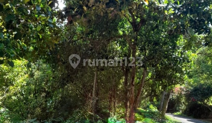For Sale Garden Land in Singaraja, Madenan
