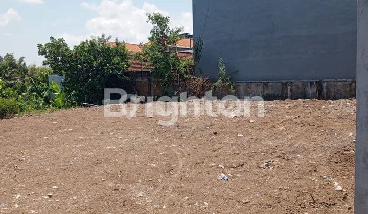 Cheap Land for Sale in Canggu