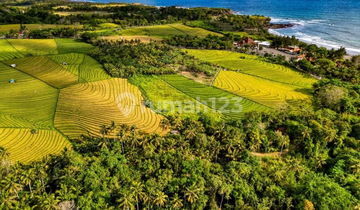 Tanah Murah Dijual Murah Tabanan - Dekat Pantai Soka