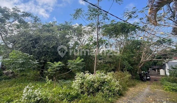 Land Ready to Build in Pecatu Area Premium Villa | Prpj164