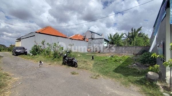 Tanah 200M² Dekat Citraland Cargo Denpasar - Cocok Bangun Rumah atau Kos Lokasi Tenang | Prpd391