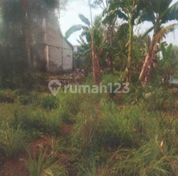 Dijual Murah Via Lelang Tanah Ciseeng Bogor CS36