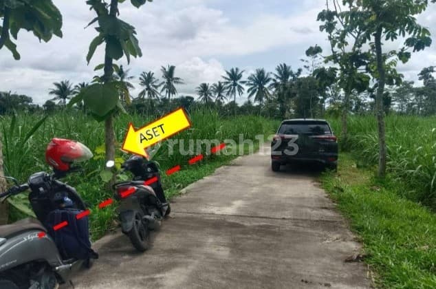 Dijual Murah Via Lelang Tanah Turen Malang T789