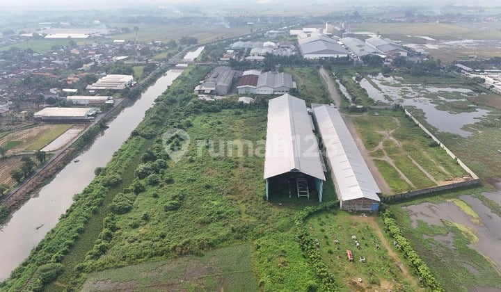 PABRIK PUNGGING MOJOKERTO PG12