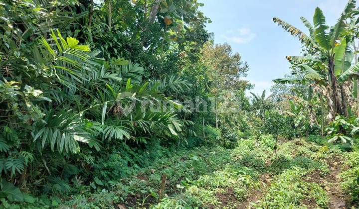 Dijual Murah Via Lelang Tanah Lawang Malang L511