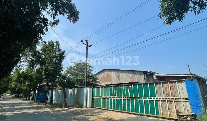 MARGOREJO PATI WAREHOUSE MR1365