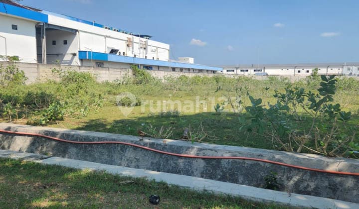 Dijual Lelang Tanah Kawasan Industri Tuban Socorejo Dekat Pantai