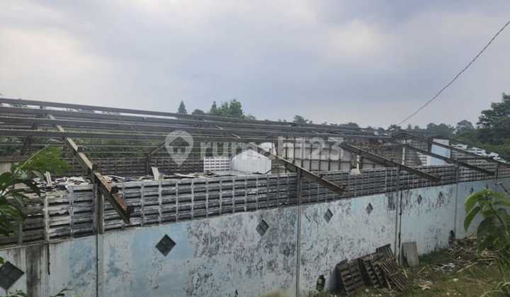 Dijual Murah Via Lelang Tanah Ciampea Bogor CA6085