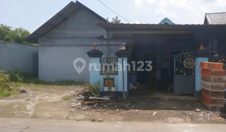 Dijual Lelang Rumah Usaha Kalipuro Pungging Mojokerto Dekat Rs
