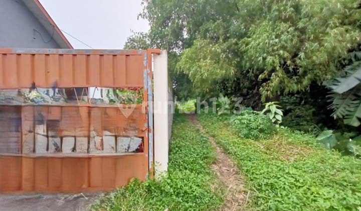 Dijual Murah Via Lelang Tanah Pakis Malang P745