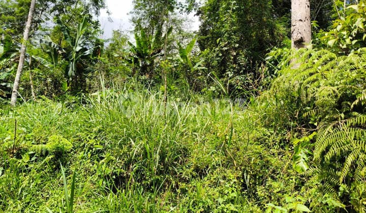 Dijual Murah Via Lelang Tanah Badung Bali P1942