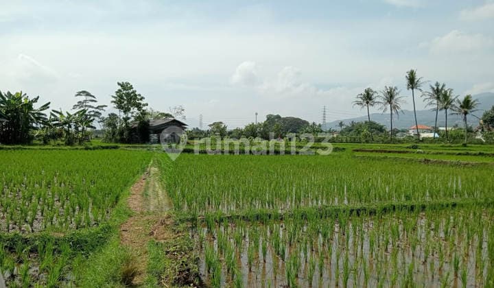 Dijual Murah Via Lelang Tanah Paseh Bandung P139