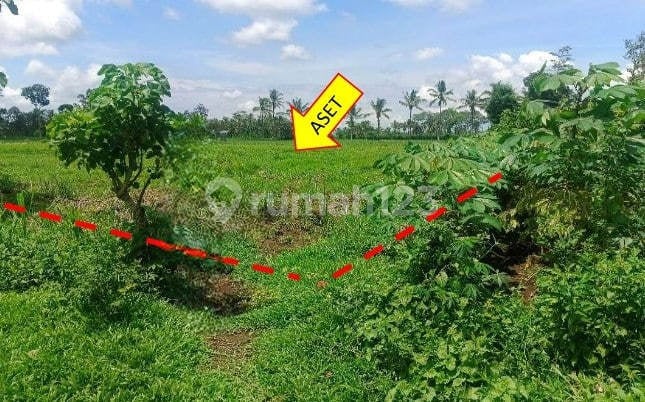 Dijual Murah Via Lelang Tanah Turen Malang T774