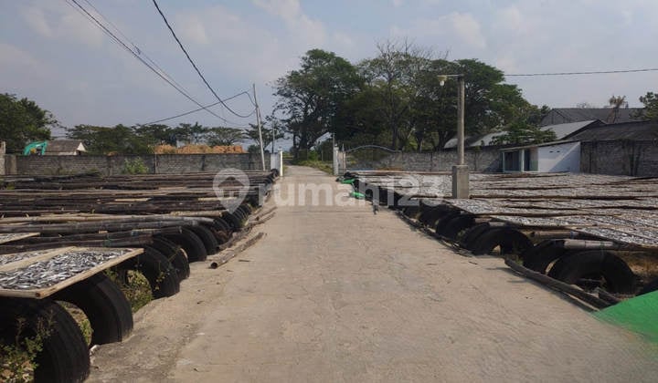 Dijual Lelang Gudang Raya Tuban Margosuko Bancar Dekat Fasum