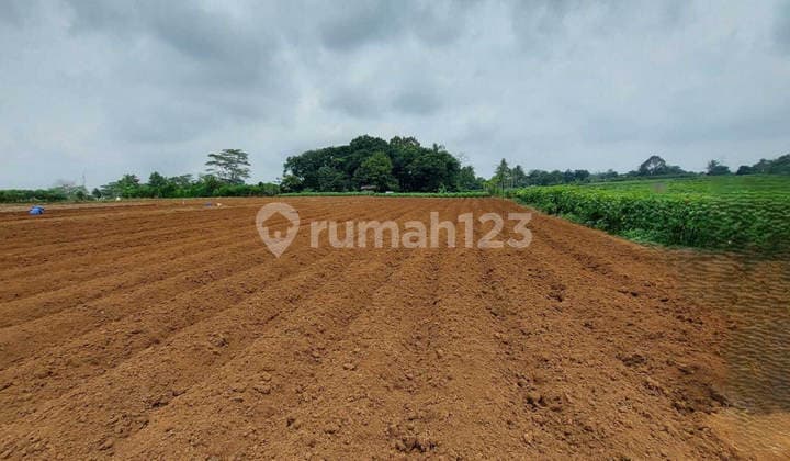 Dijual Murah Via Lelang Tanah Ciseeng Bogor CS702