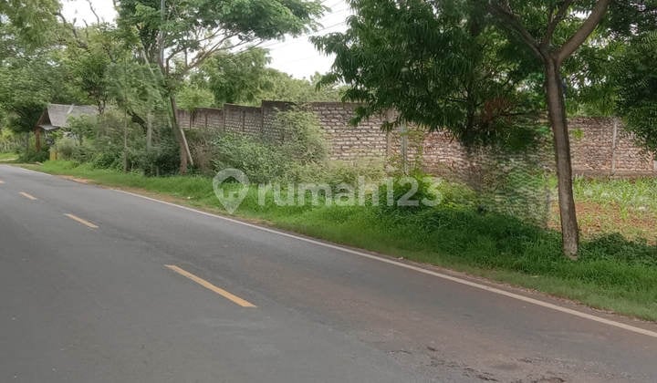 Tanah Raya Saronggi Sumenep 4.707 M² - Shgb (Sg541)