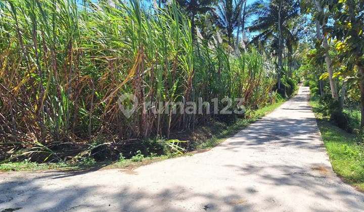 Tanah Bumirejo Dampit Malang (D2067)