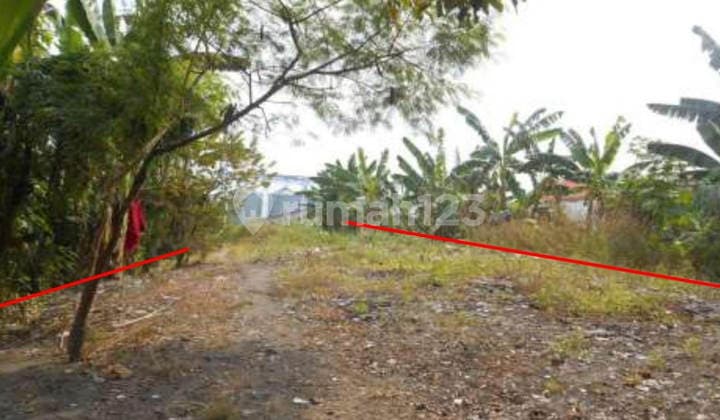 Tanah Raya Pemuda Mojosari Mojokerto 2.355 M² - SHM (Ms141)