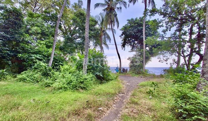 Tanah Los Pantai 32 Are in North Bali – Strategic Location for Resort or Luxury Hotel Investment.
