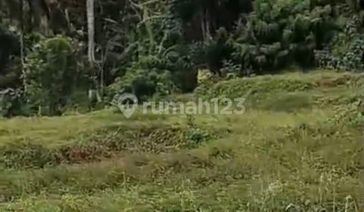 Tanah Murah Siap Bangun 1.700 M² di Jl. Jelijih Tabanan - Lokasi Strategis Dekat Jalan Raya