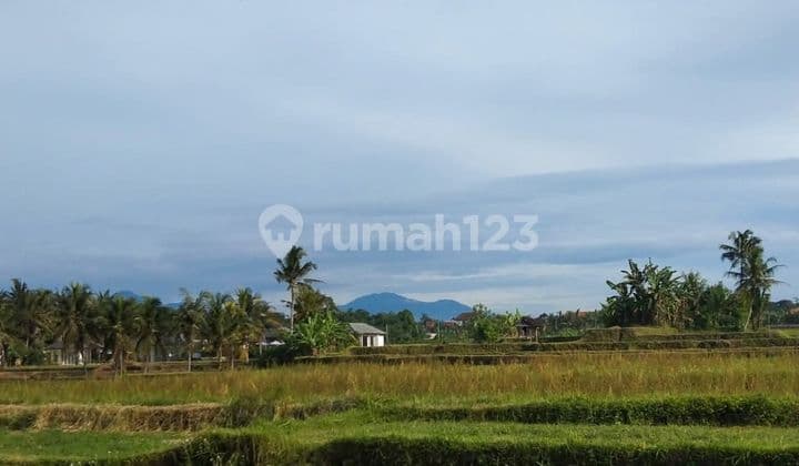 Tanah Strategis 5 Are di Peliatan - Dekat Central Ubud