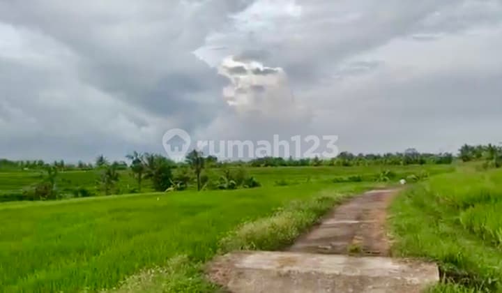Tanah Strategis di Tangguntiti Selemadeg , Tabanan - Dekat Lokasi Alami Boutique Villas & Resort