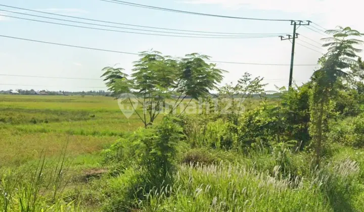 Tanah Strategis di Tol KM 15 Gubernur Subarjo- Dekat Biz Park Banjarmasin