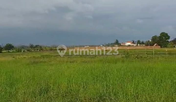 Dijual Tanah Kavling 3 Are Siap Bangun Dekat Pantai Klating - Tabanan