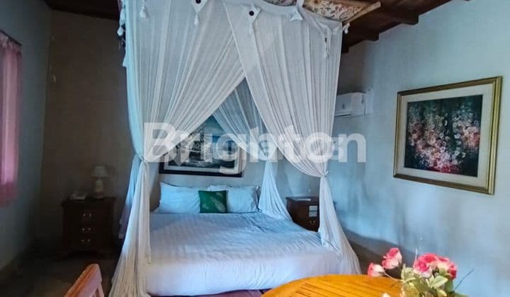 THE LAKE VILLA – VILLA ASRI DENGAN SUASANA ALAM DI PAYANGAN