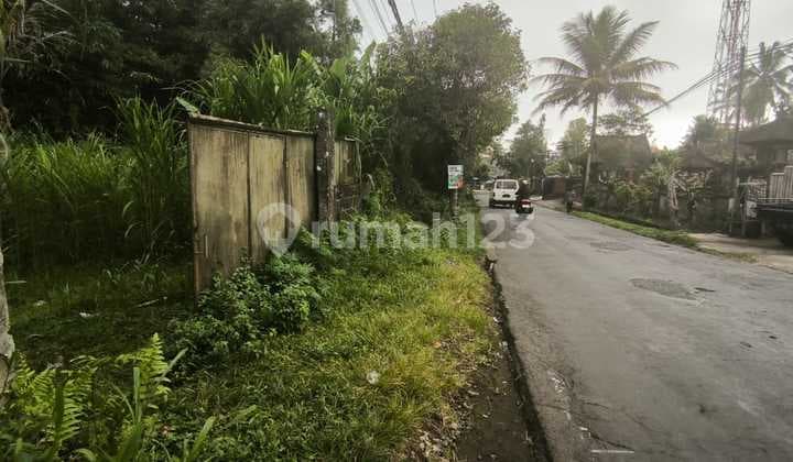 Tanah Pinggir Jalan Raya Ubud 25 Are Siap Bangun , Lokasi Strategis & Investasi Menjanjikan
