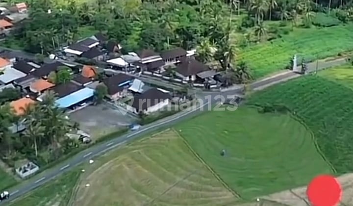 Tanah Strategis di Zona Pariwisata ( Zona Pink ) , Tegal Mengkeb - Tabanan Bali