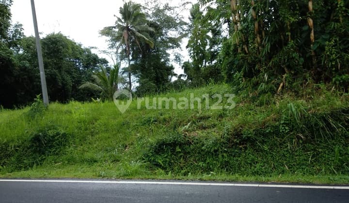 Tanah Strategis di Jalan Utama Raya Payangan Dekat Padma Resort Ubud