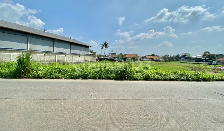 Dijual Cepat Tanah Kedaung Barat Sepatan Timur Tangerang