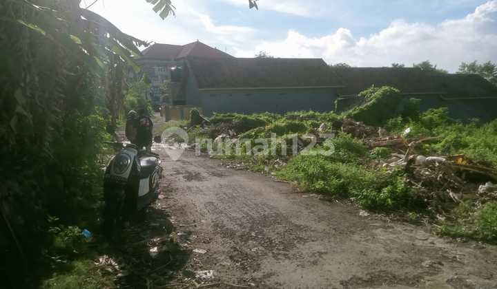 Disewakan Tanah Lokasi di Samping Rektorat Kampus Unud Jimbaran Seluas 30 Are bisa Ambil Minimal 2 Are