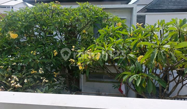 Dijual Rumah Dengan Lokasi Strategis Di Pusat Jimbaran