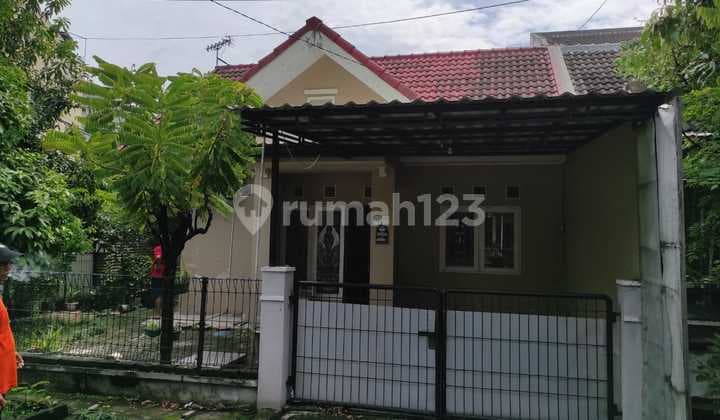 Diual Rumah 1 Lt Perum Citra Dahlia Sidoarjo