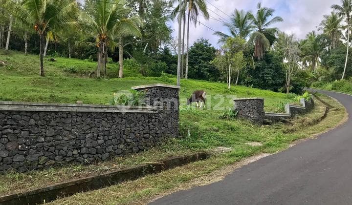 Dijual Tanah Murah Tabanan View Laut – 10.500 M² Shm Nego